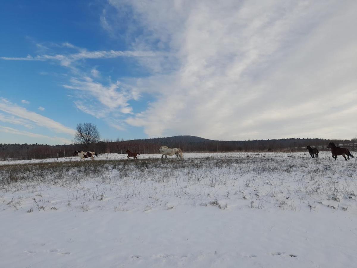 Agroturystka Stylowy Nad Stajnia *