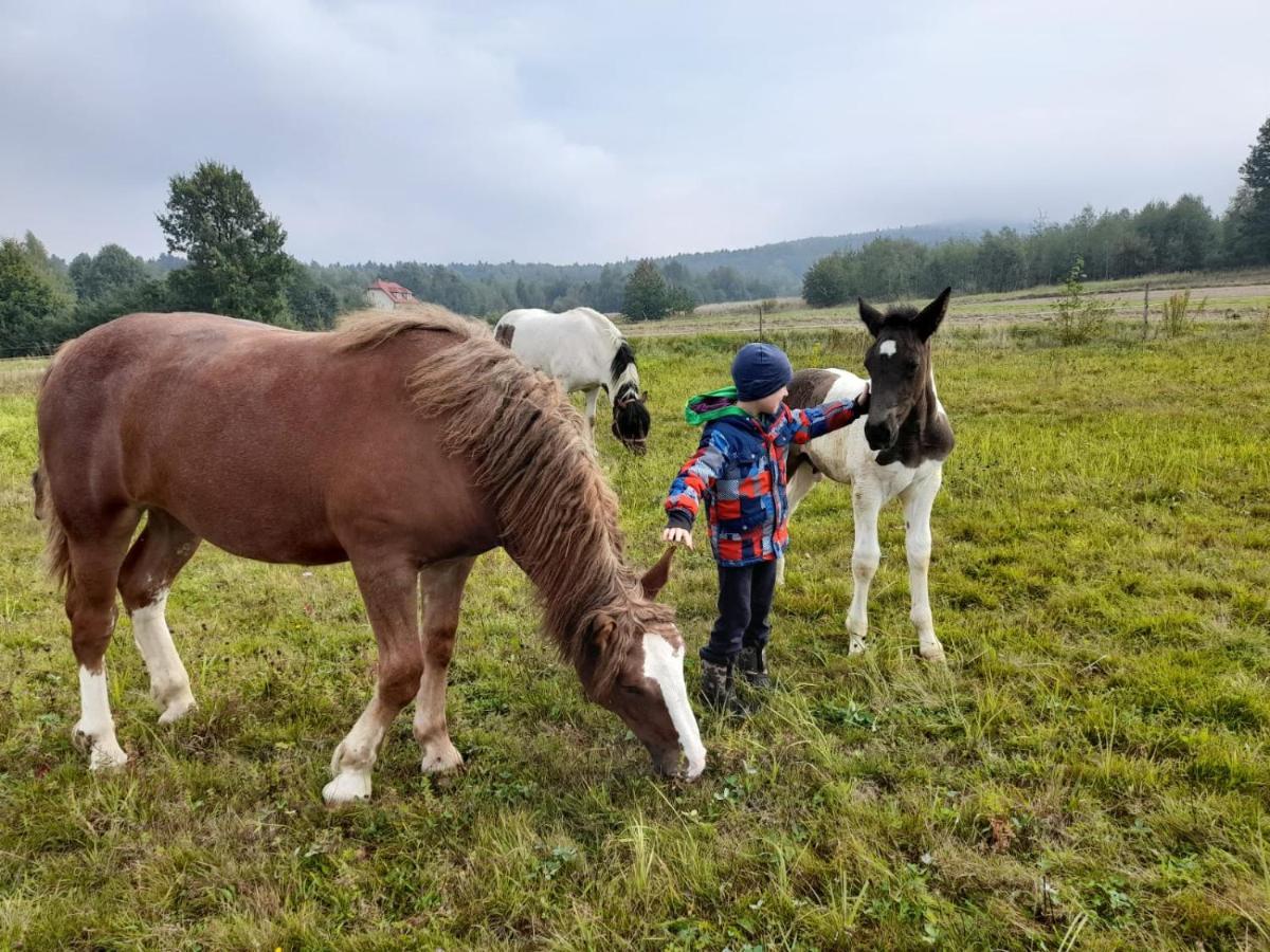 Agroturystka Stylowy Nad Stajnia Krajno-Zagorze